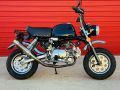 Picture of SKYTEAM / TONELLI 125cc 2013 ADR COMPLIANT ROAD REGISTERABLE